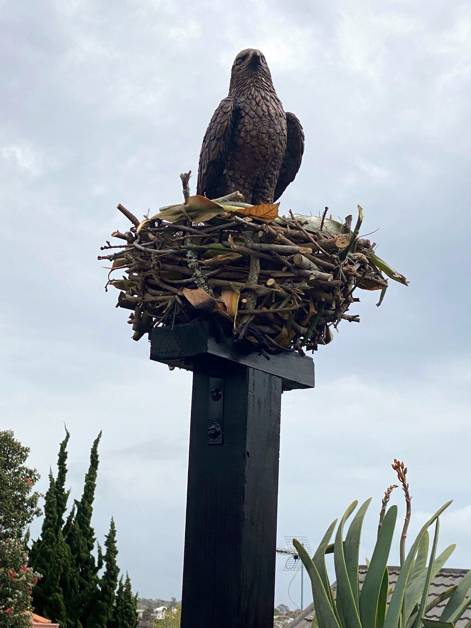 Yes Eagle