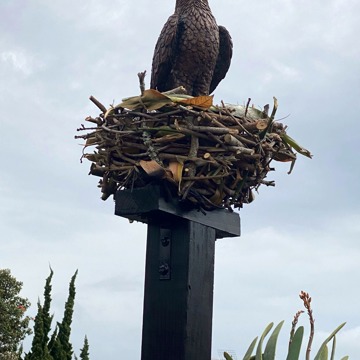 Yes Eagle