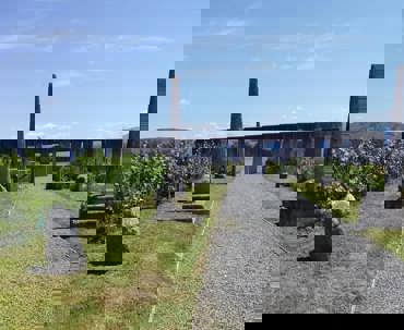 Grapevine Causway