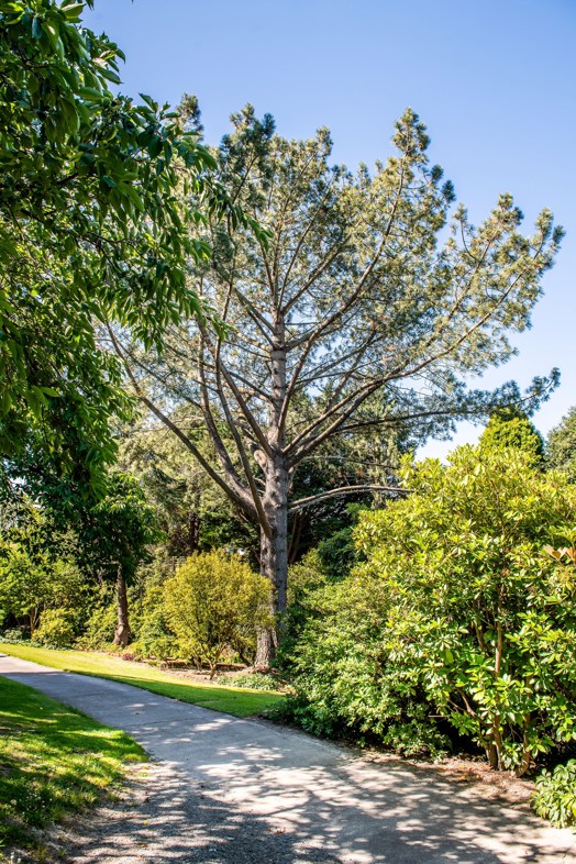Bannerman Park