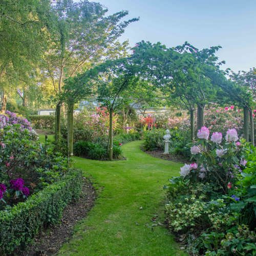 Acton/Rakaia Gardens image