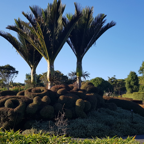 Auckland Botanic Gardens image
