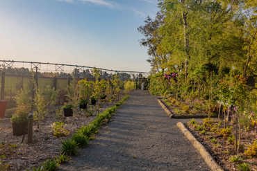 Gardens 21