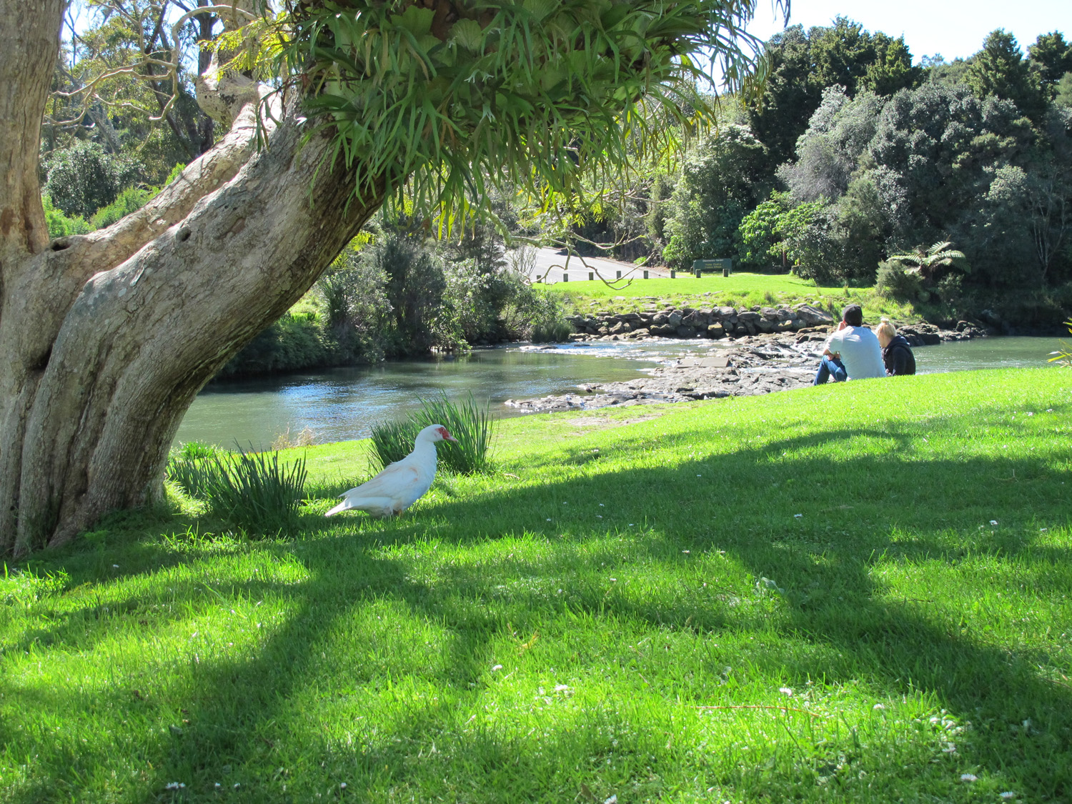 060913 Garden Riverscene
