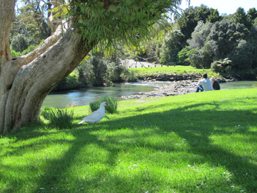 060913 Garden Riverscene