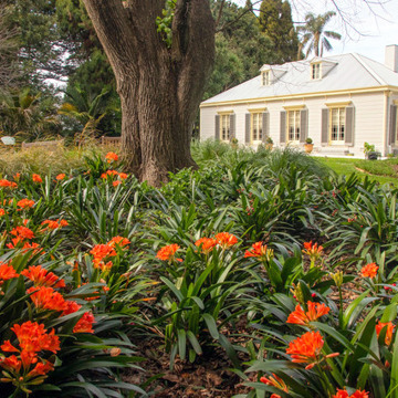 Clivia House