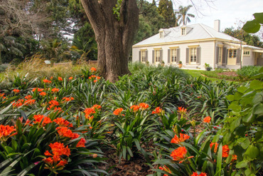 Clivia House