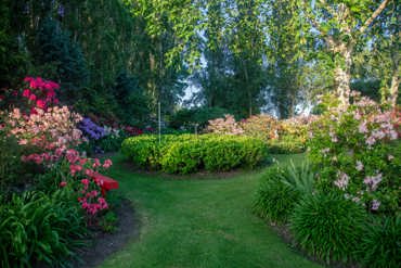 Gardens 19