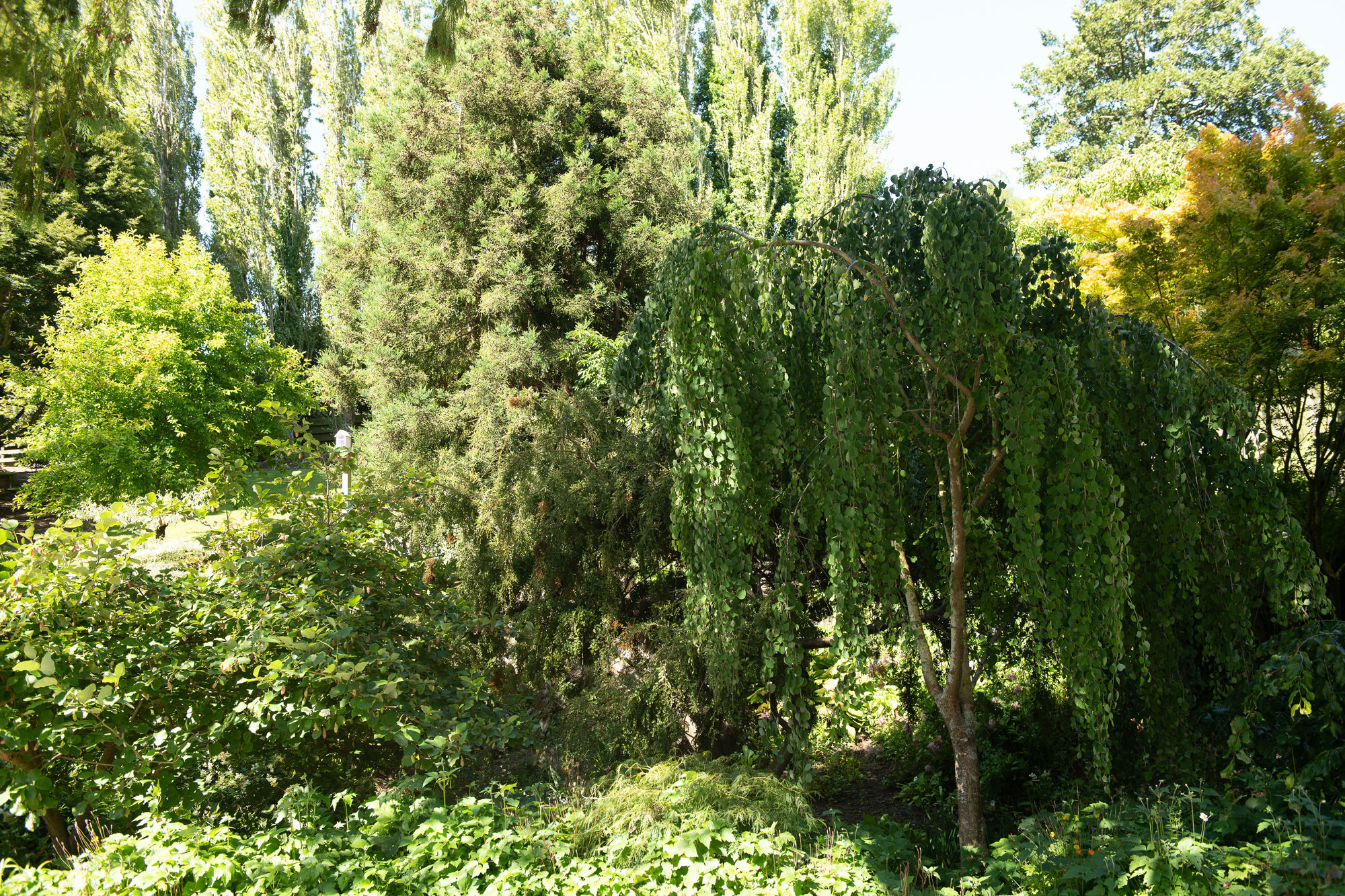 Bannermanpark 22