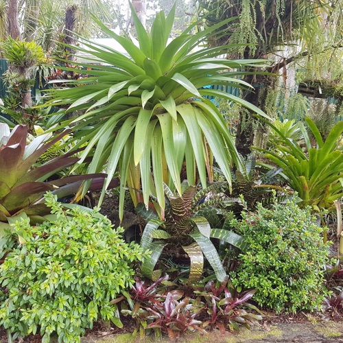 Pandora Gardens image