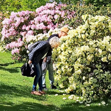 Smelling1